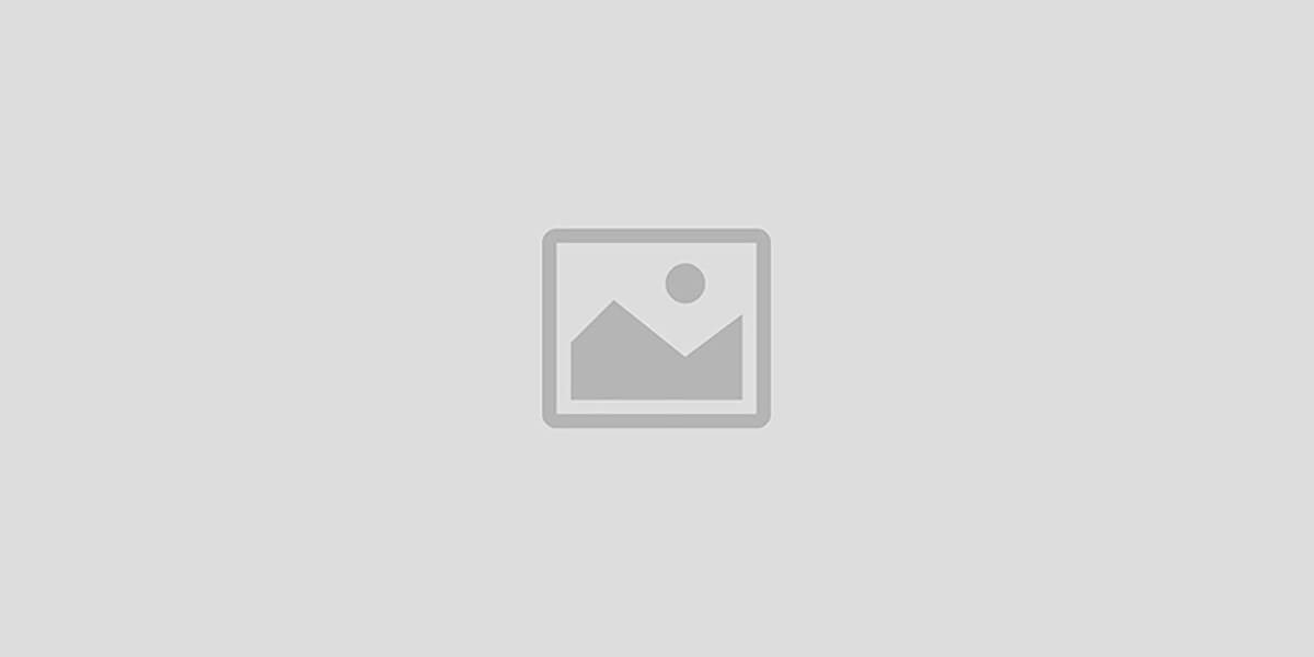 Guangzhou Yingji Trading Co. Ltd promo