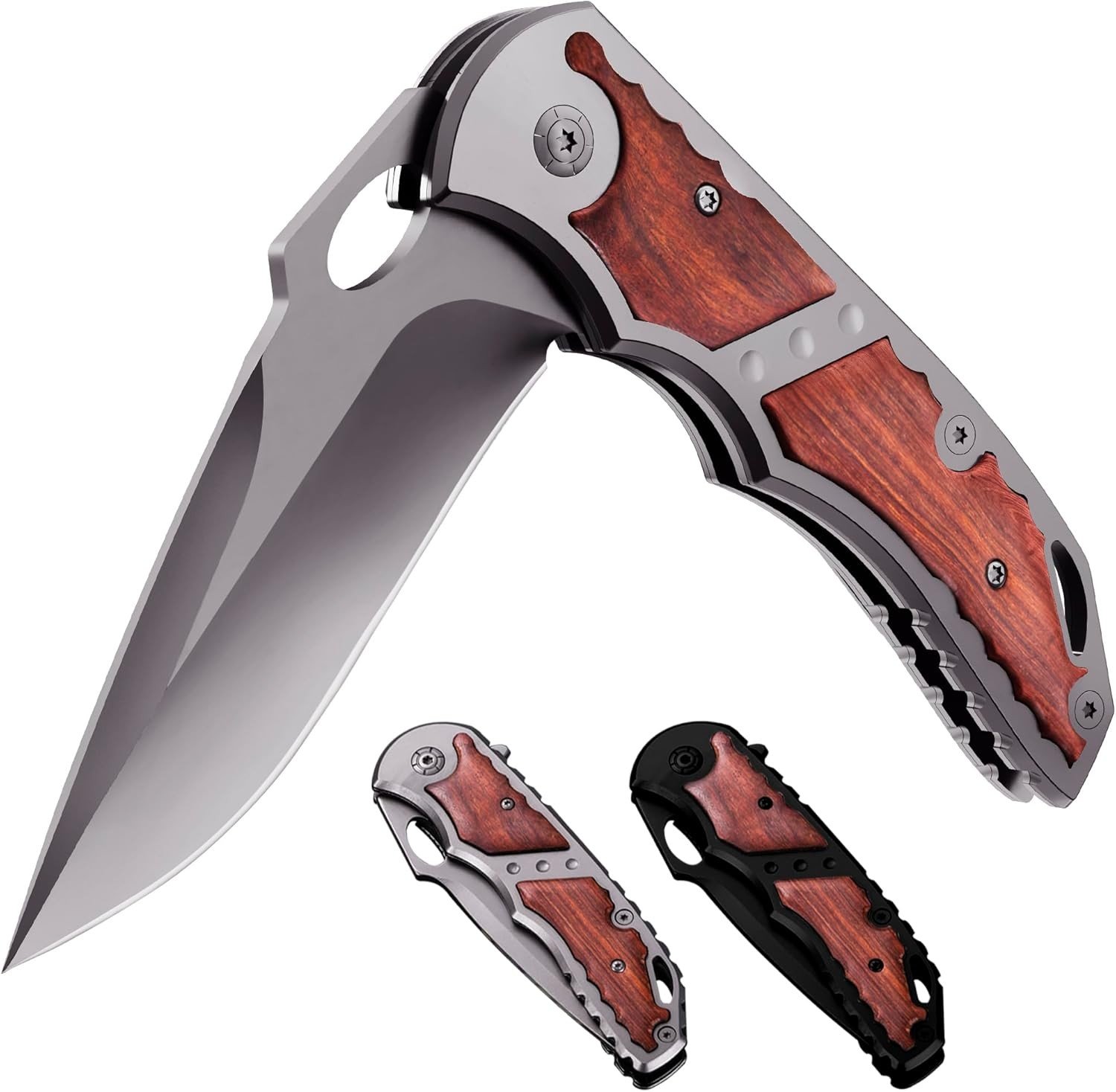 Spring Assisted Knife